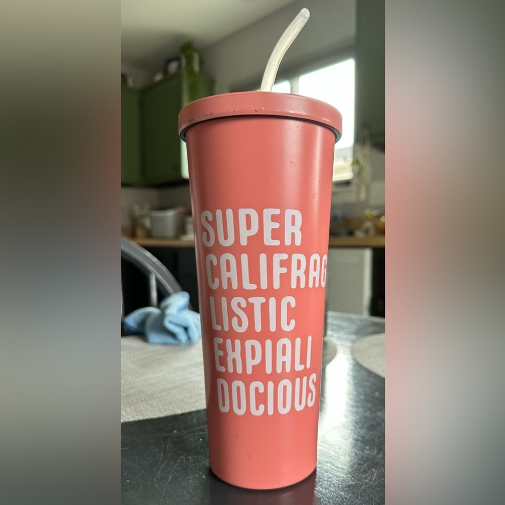 Disney World Mary Poppins Tumbler